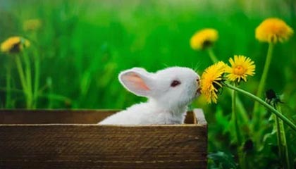 开云在线直播-巴塞罗那主场-大胜莱加内斯，梅西梅开二度，在签约以后,巴塞罗那俱乐部尽心尽力地帮助梅西成长