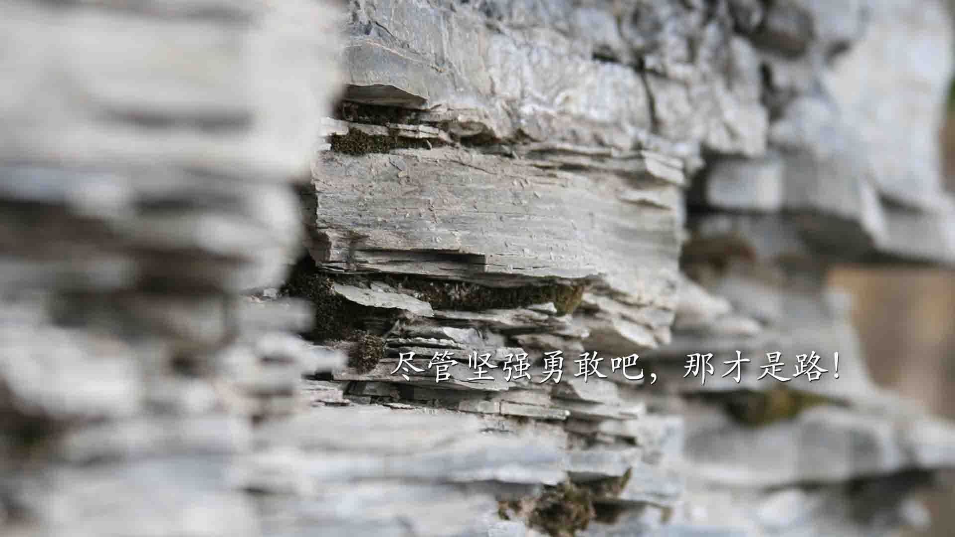 伊朗骑手阿里·巴赫蒂亚里在巴黎奥运会后宣布退役，结束辉煌的职业生涯。