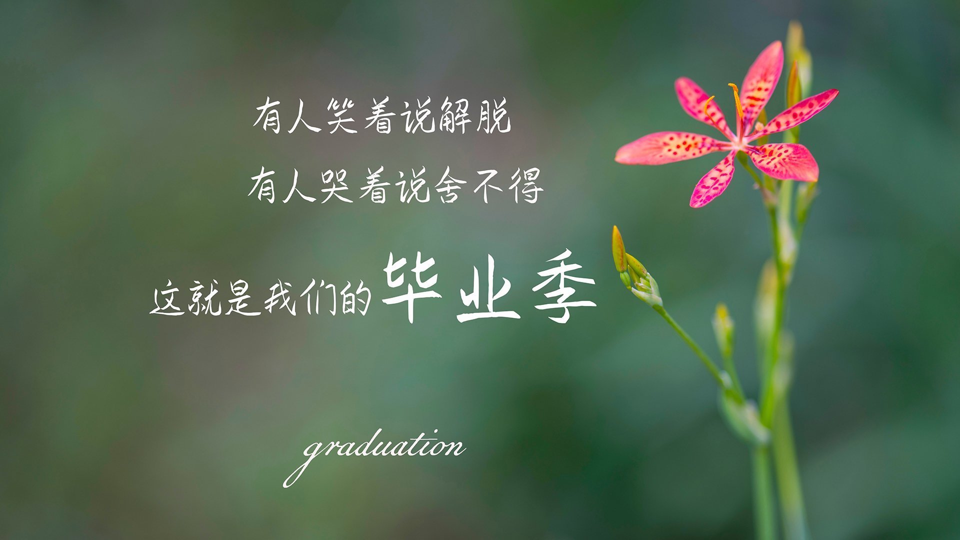 “快艇冲浪：东三叉湖赛场惊现极限运动的极速挑战”