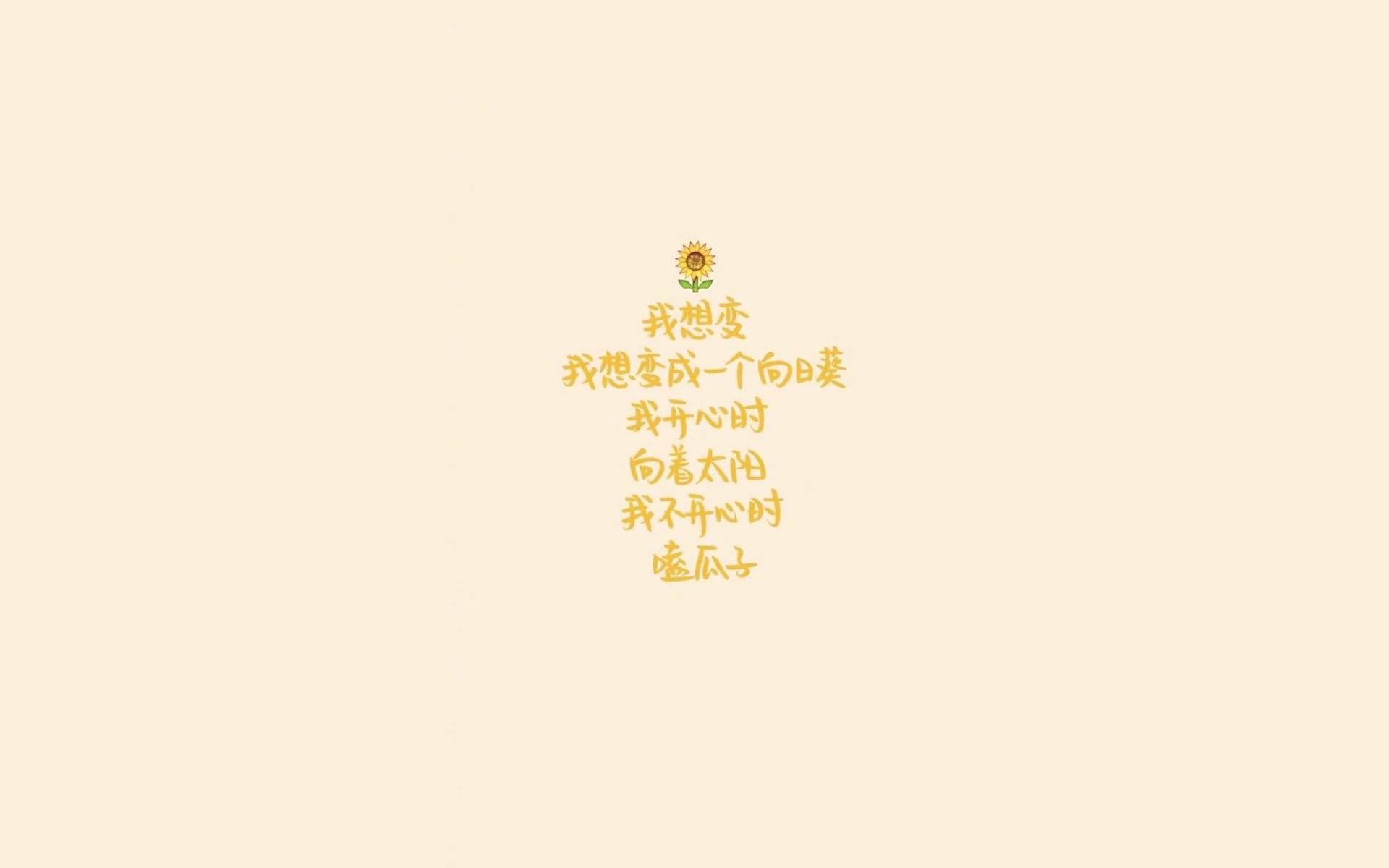 德国队赛制应对全解析：国际乒联混合团体世界杯挑战前景，德国乒乓球联赛级别什么级别