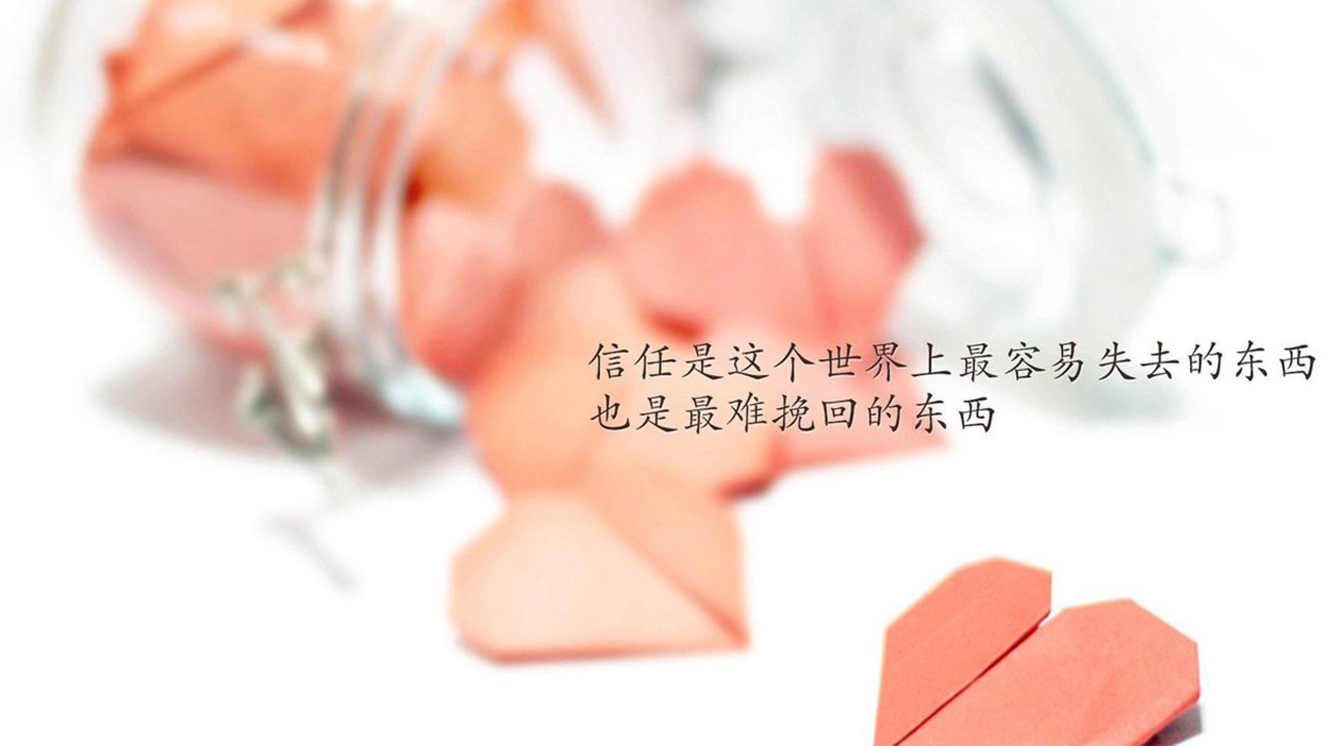 张伟丽与小朋友互动推广格斗运动，张伟丽格斗集锦