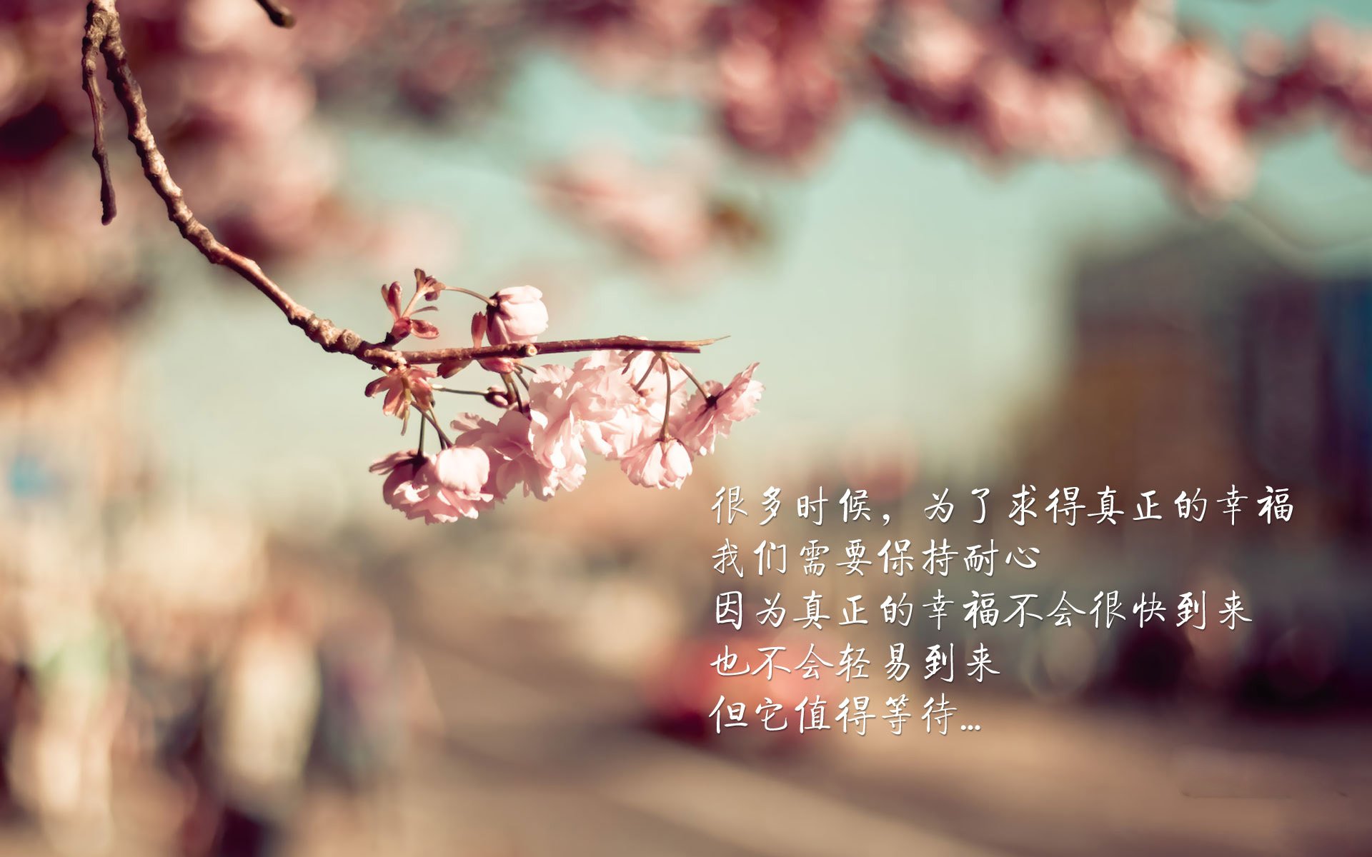 田径运动训练平台支持跨项目数据整合，田径教学网站