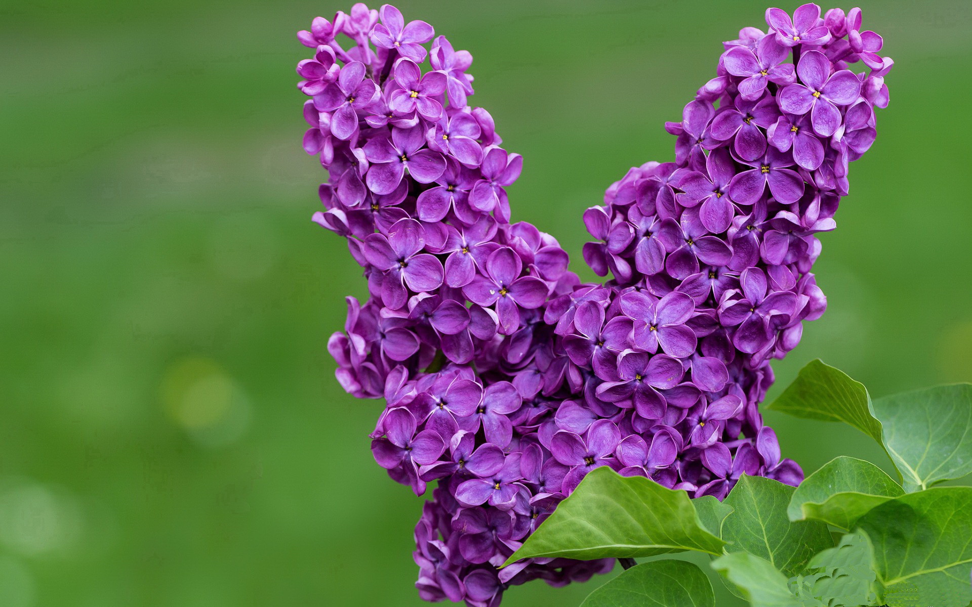 开云体育官方网入口-青年运动员训练生活曝光背后付出远超外界想象，青少年运动员的培养