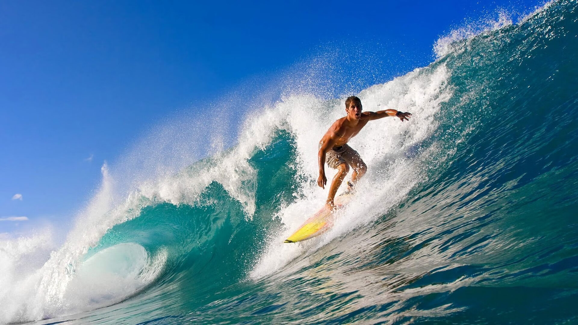 开云体育官方-_深海探险潜水：发现海底神秘奇观_，深海探秘视频