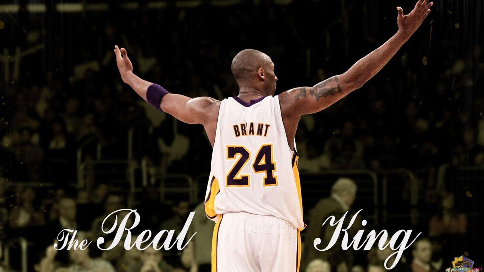 KAIYUNAPP-电竞赛事宣传策略升级，视听体验更加震撼，电竞赛事宣传方案